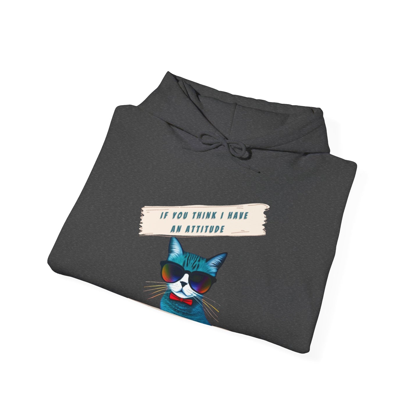 "IF YOU THINK I HAVE AN ATTITUDE-YOU SHOULD SEE THE LADY THAT CLEANS MY LITTERBOX"- Unisex Heavy Blend Hooded Sweatshirt -(VARIETY OF COLORS) "Sassy Cat With Attitude"