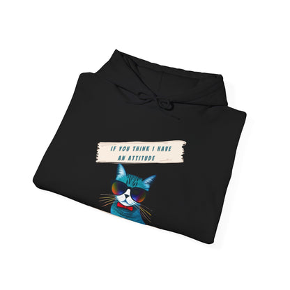 "IF YOU THINK I HAVE AN ATTITUDE-YOU SHOULD SEE THE LADY THAT CLEANS MY LITTERBOX"-  Unisex Heavy Blend Hooded Sweatshirt -(VARIETY OF COLORS) "Sassy Cat With Attitude"