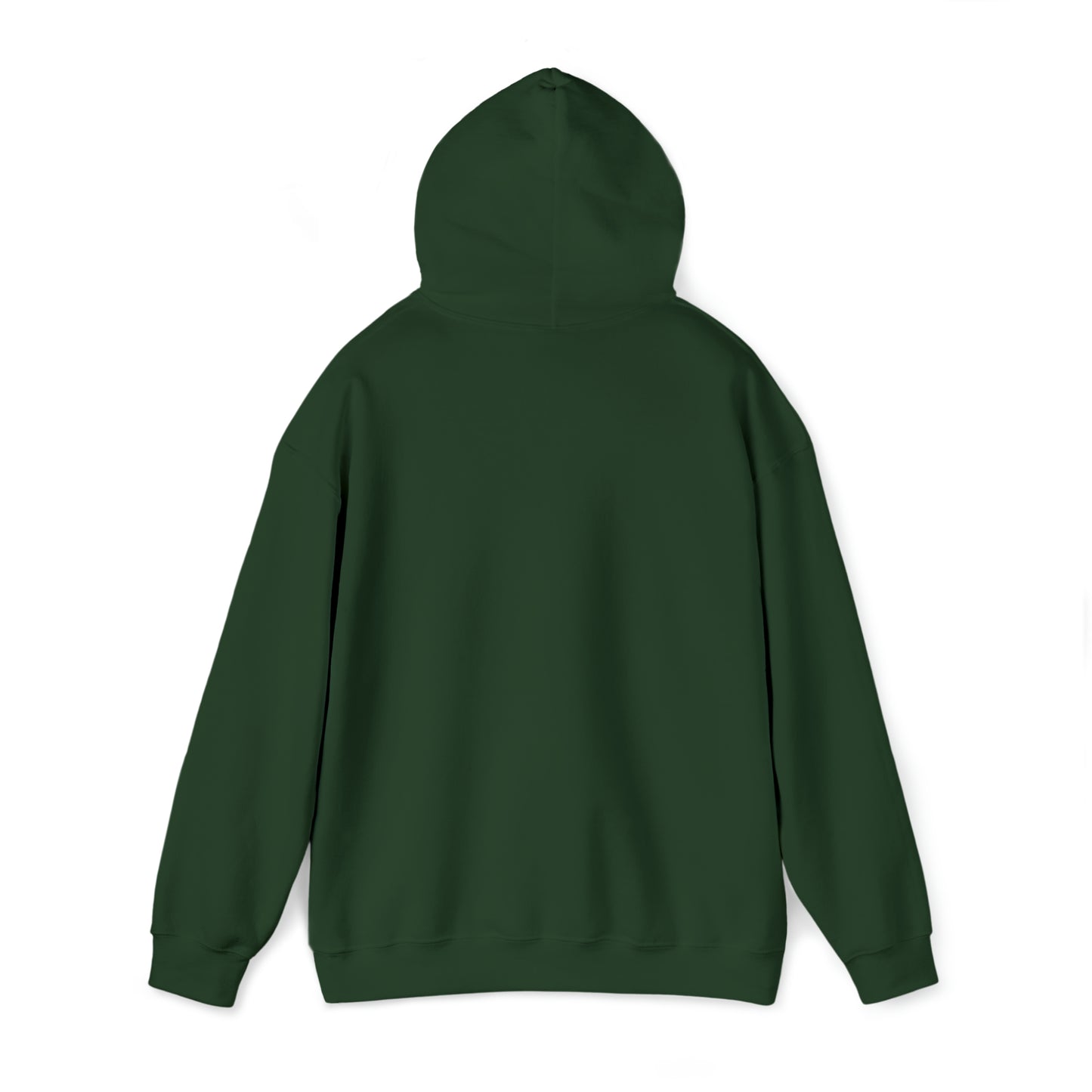 MY CAT AND I TALK CRAP ABOUT YOU- Unisex Heavy Blend Hooded Sweatshirt (VARIETY OF COLORS)  “Meow or Never Hoodie — Funny Cat Lover Streetwear”