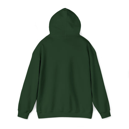 MY CAT AND I TALK CRAP ABOUT YOU- Unisex Heavy Blend Hooded Sweatshirt (VARIETY OF COLORS)  “Meow or Never Hoodie — Funny Cat Lover Streetwear”