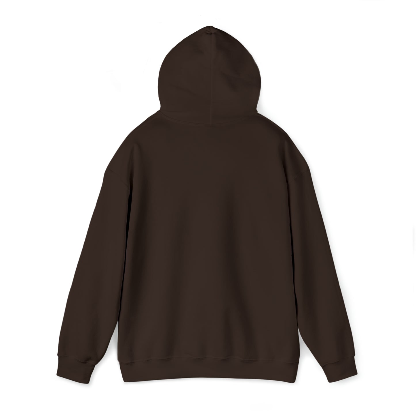MY CAT AND I TALK CRAP ABOUT YOU- Unisex Heavy Blend Hooded Sweatshirt (VARIETY OF COLORS)  “Meow or Never Hoodie — Funny Cat Lover Streetwear”