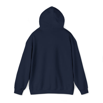 MY CAT AND I TALK CRAP ABOUT YOU- Unisex Heavy Blend Hooded Sweatshirt (VARIETY OF COLORS)  “Meow or Never Hoodie — Funny Cat Lover Streetwear”