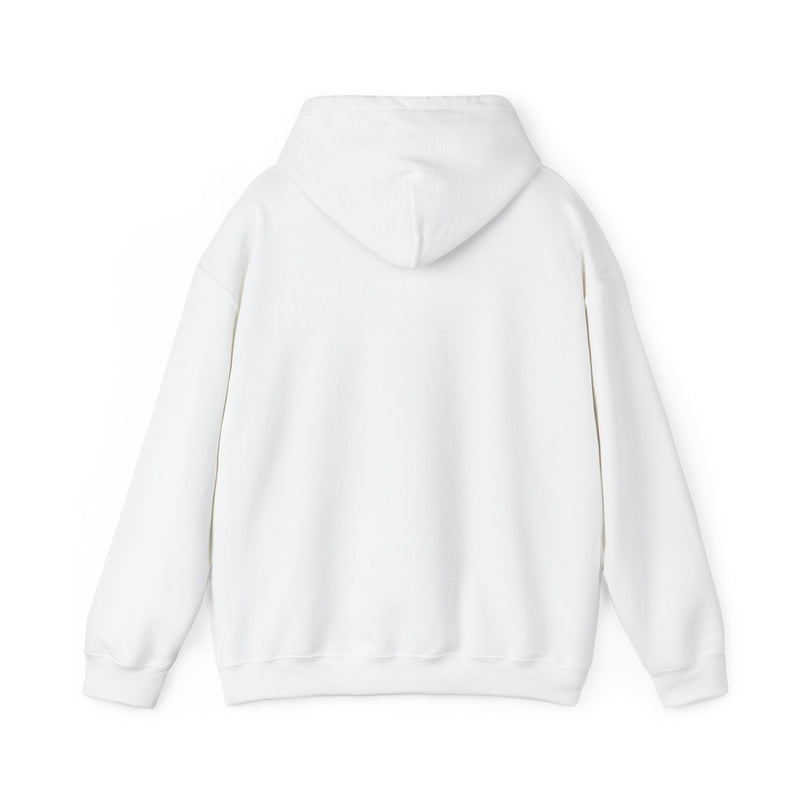 SAVING THE ECONOMY- Unisex Heavy Blend Hooded Sweatshirt (VARIETY OF COLORS)