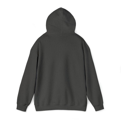 MY CAT AND I TALK CRAP ABOUT YOU- Unisex Heavy Blend Hooded Sweatshirt (VARIETY OF COLORS)  “Meow or Never Hoodie — Funny Cat Lover Streetwear”