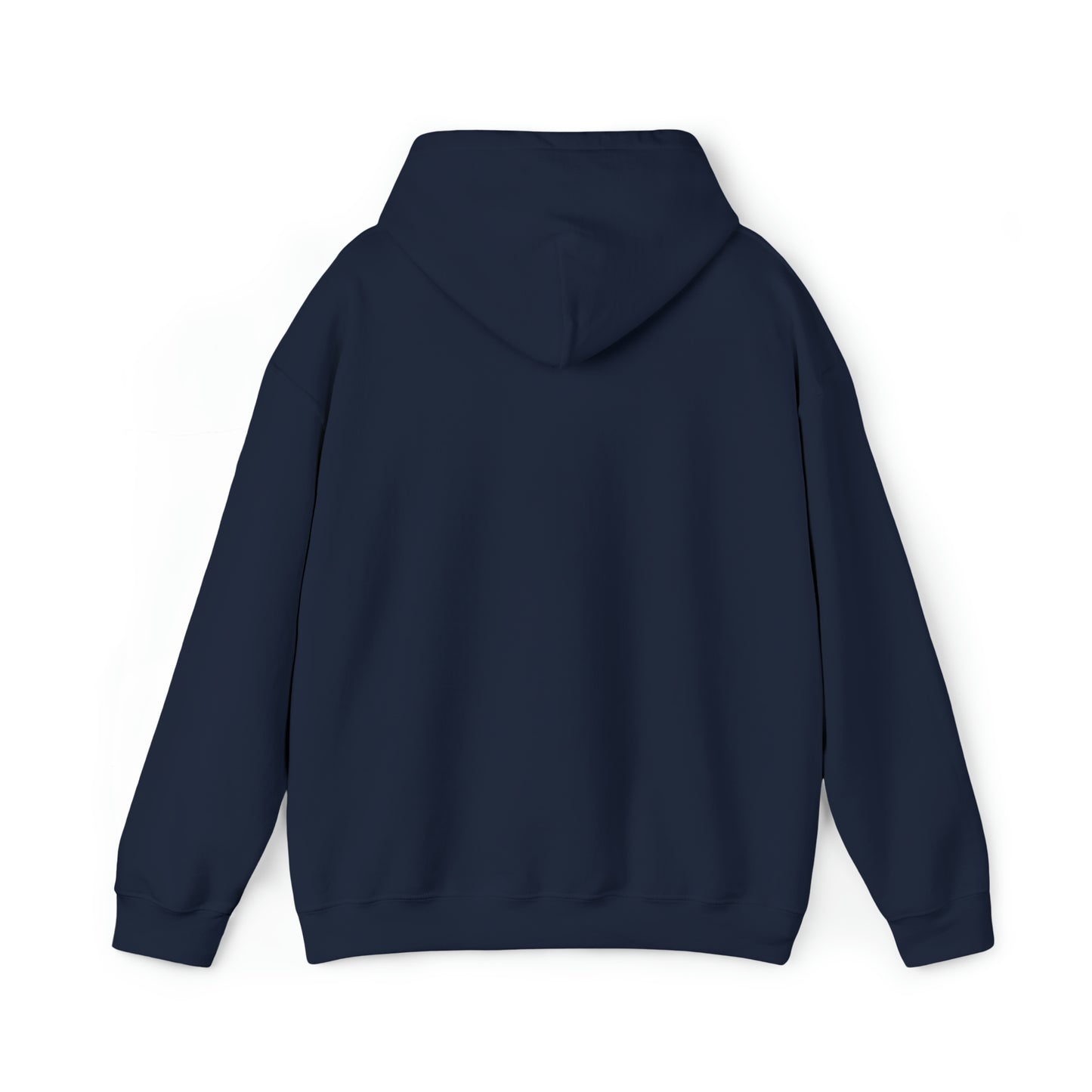 MY CAT AND I TALK CRAP ABOUT YOU- Unisex Heavy Blend Hooded Sweatshirt (VARIETY OF COLORS)  “Meow or Never Hoodie — Funny Cat Lover Streetwear”