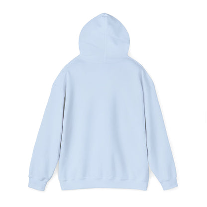 RIZZ & FIRE BEACH CLUB- Unisex Heavy Blend Hooded Sweatshirt (VARIETY OF COLORS) “Trending Top Pick Street Style”