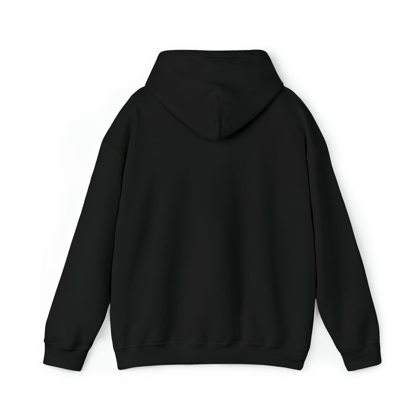 MY CAT AND I TALK CRAP ABOUT YOU- Unisex Heavy Blend Hooded Sweatshirt (VARIETY OF COLORS)  “Meow or Never Hoodie — Funny Cat Lover Streetwear”