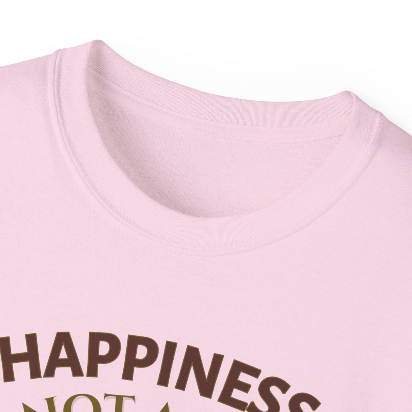 HAPPINESS IS NOT A GOAL-IT'S A BY-PRODUCT OF A LIFE WELL LIVED- T Shirt (variety Of lite Colors) "Reminder To Live Life To The Fullest"