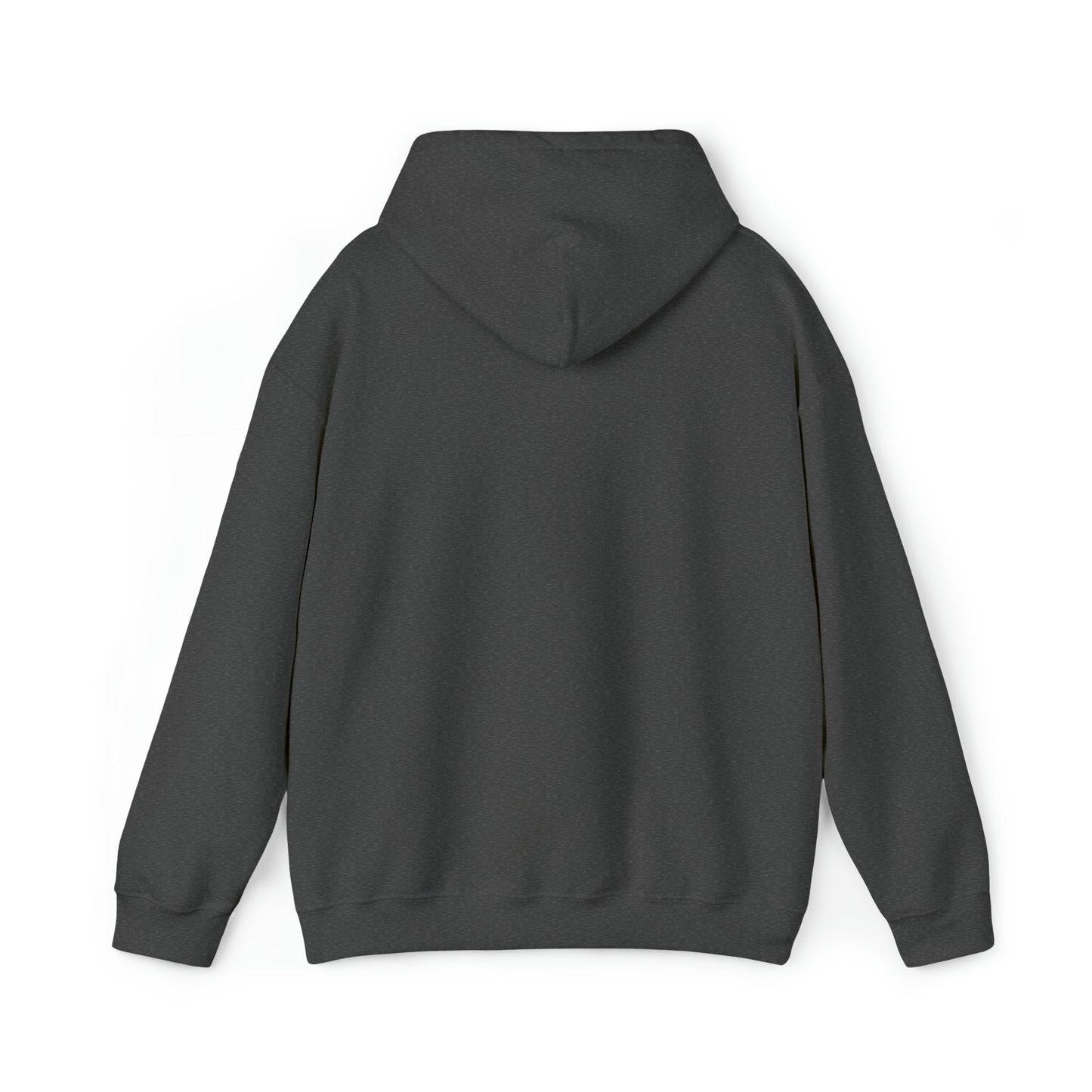 MY CAT AND I TALK CRAP ABOUT YOU- Unisex Heavy Blend Hooded Sweatshirt (VARIETY OF COLORS)  “Meow or Never Hoodie — Funny Cat Lover Streetwear”