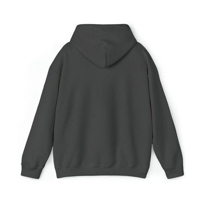 MY CAT AND I TALK CRAP ABOUT YOU- Unisex Heavy Blend Hooded Sweatshirt (VARIETY OF COLORS)  “Meow or Never Hoodie — Funny Cat Lover Streetwear”
