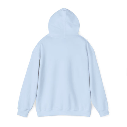 SAVING THE ECONOMY- Unisex Heavy Blend Hooded Sweatshirt (VARIETY OF COLORS)  “Boho Babe Pullover — Trending Hoodie Made to Slay”
