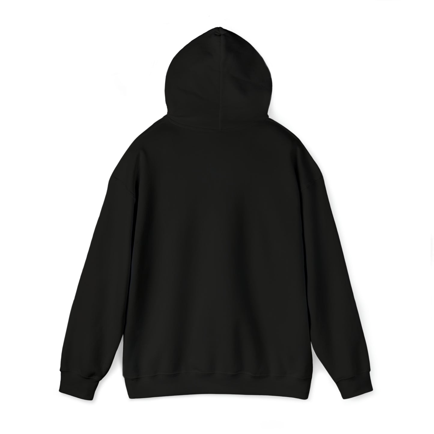 MY CAT AND I TALK CRAP ABOUT YOU- Unisex Heavy Blend Hooded Sweatshirt (VARIETY OF COLORS)  “Meow or Never Hoodie — Funny Cat Lover Streetwear”