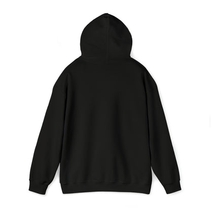MY CAT AND I TALK CRAP ABOUT YOU- Unisex Heavy Blend Hooded Sweatshirt (VARIETY OF COLORS)  “Meow or Never Hoodie — Funny Cat Lover Streetwear”