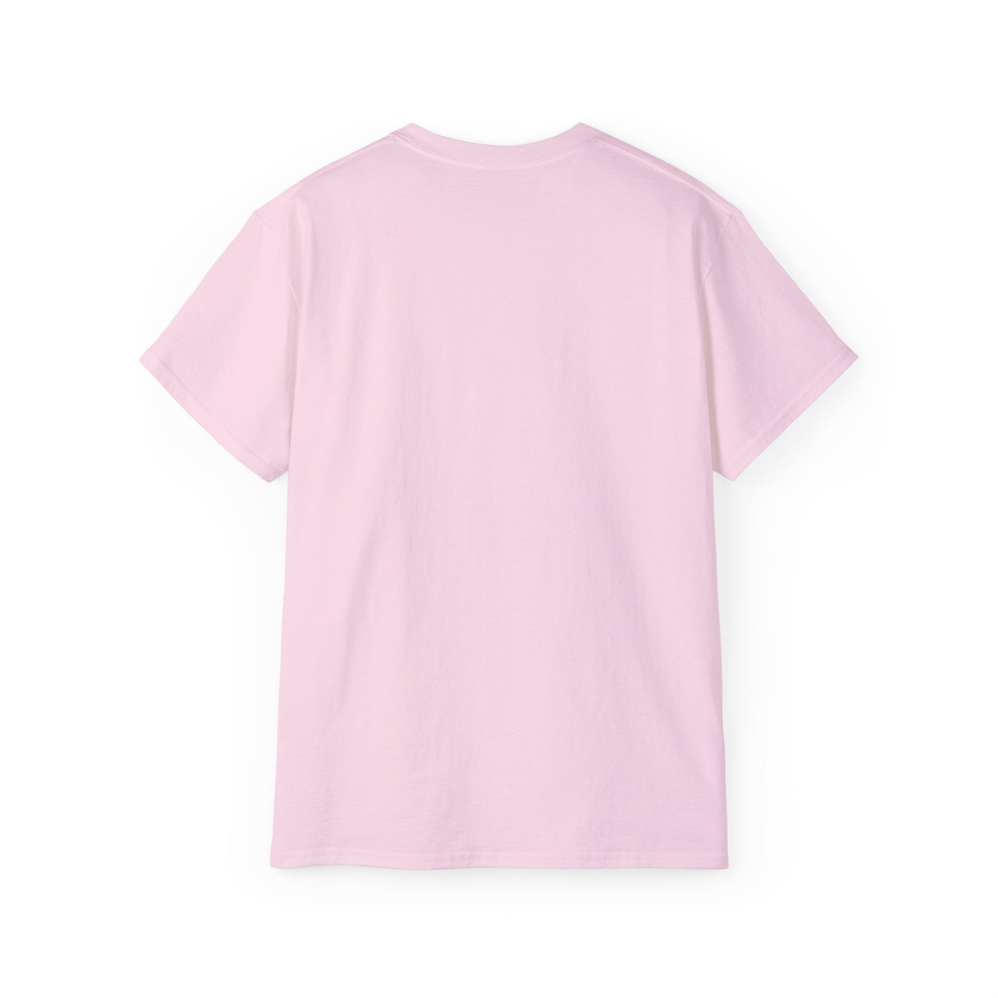 SAVING THE ECONOMY - T Shirt (variety Of Colors)