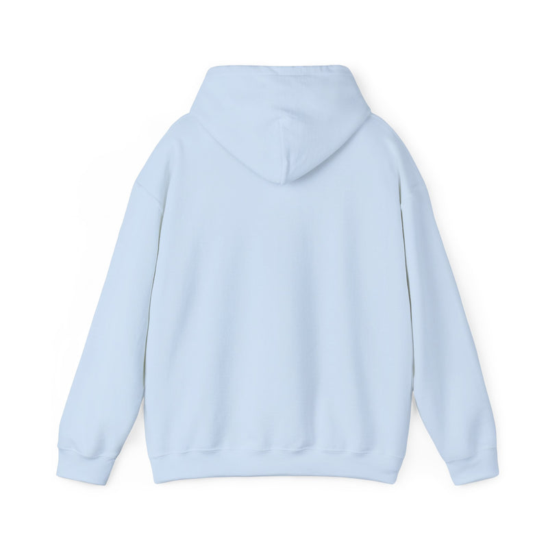 SAVING THE ECONOMY- Unisex Heavy Blend Hooded Sweatshirt (VARIETY OF COLORS)