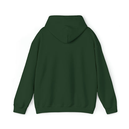 MY CAT AND I TALK CRAP ABOUT YOU- Unisex Heavy Blend Hooded Sweatshirt (VARIETY OF COLORS)  “Meow or Never Hoodie — Funny Cat Lover Streetwear”
