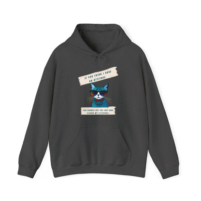 "IF YOU THINK I HAVE AN ATTITUDE-YOU SHOULD SEE THE LADY THAT CLEANS MY LITTERBOX"-  Unisex Heavy Blend Hooded Sweatshirt -(VARIETY OF COLORS) "Sassy Cat With Attitude"