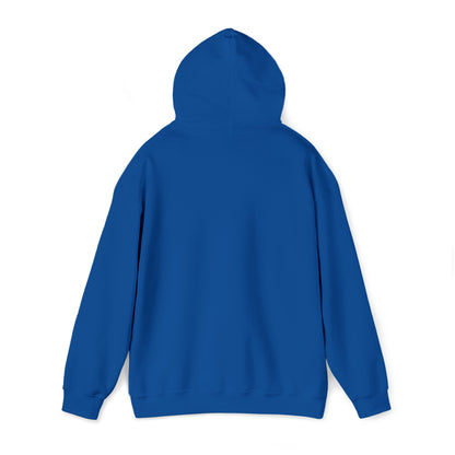 MY CAT AND I TALK CRAP ABOUT YOU- Unisex Heavy Blend Hooded Sweatshirt (VARIETY OF COLORS)  “Meow or Never Hoodie — Funny Cat Lover Streetwear”