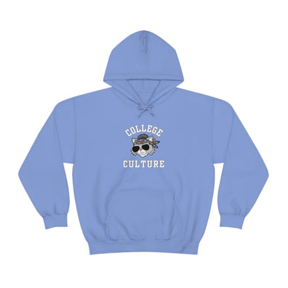 COLLEGE CULTURE- Unisex Heavy Blend Hooded Sweatshirt (VARIETY OF COLORS)