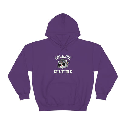 COLLEGE CULTURE- Unisex Heavy Blend Hooded Sweatshirt (VARIETY OF COLORS)