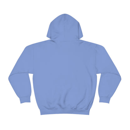 COLLEGE CULTURE- Unisex Heavy Blend Hooded Sweatshirt (VARIETY OF COLORS)